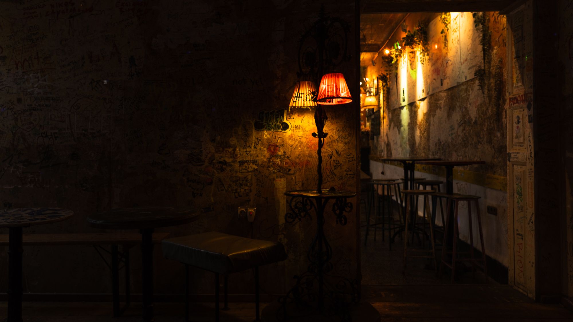 Drinking in the Dark